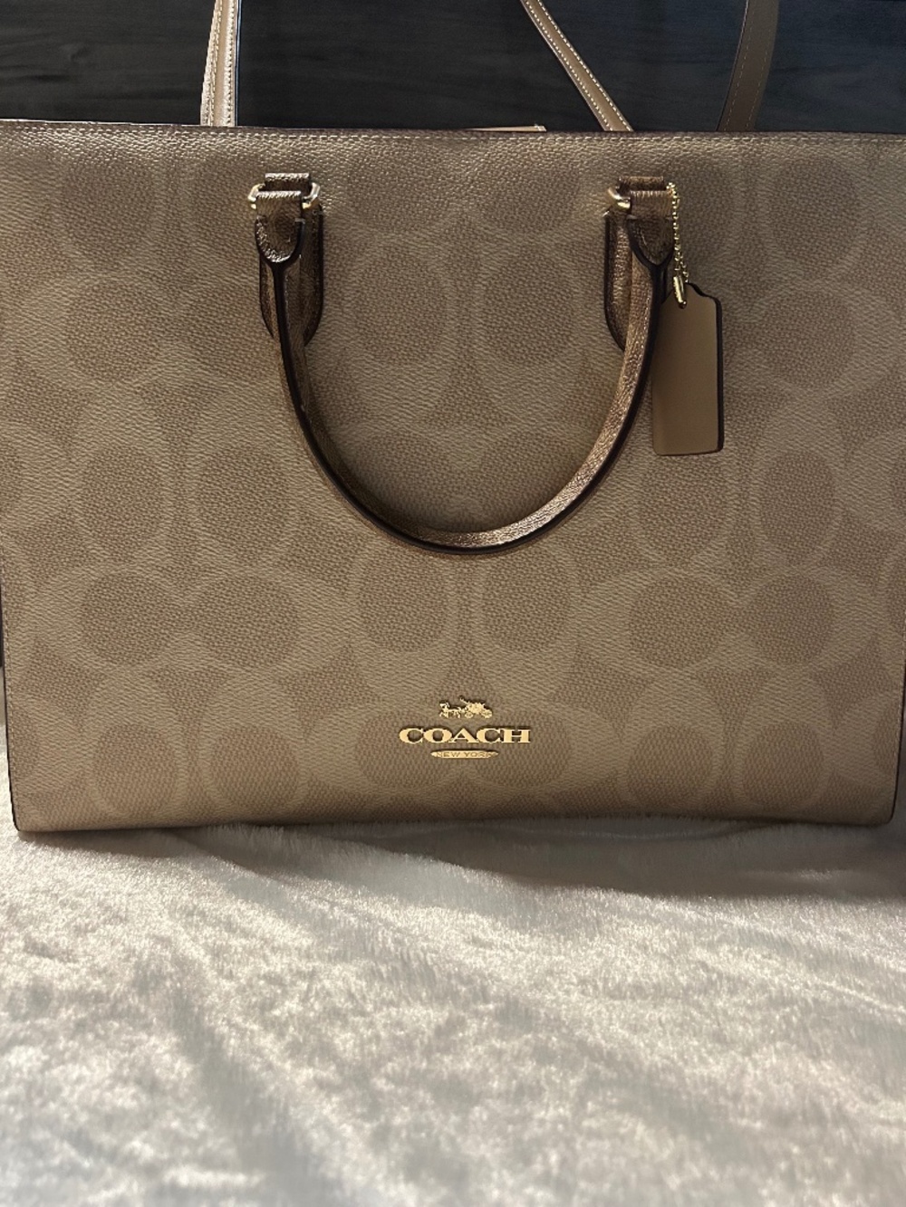 Coach Maggie Tote